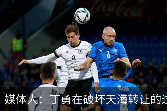 媒体人：丁勇在破坏天海转让的过程中曾拉刘奕下水