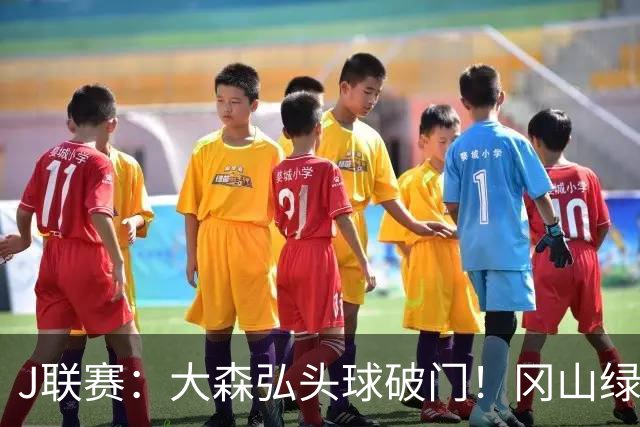 J联赛：大森弘头球破门！冈山绿雉收获系列赛胜利！